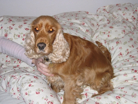 Mandy og pindsvin 008_0.jpg
